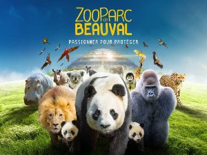 Un Week-End au Zoo de Beauval le sam. 20 sept. 2025 à 10h30