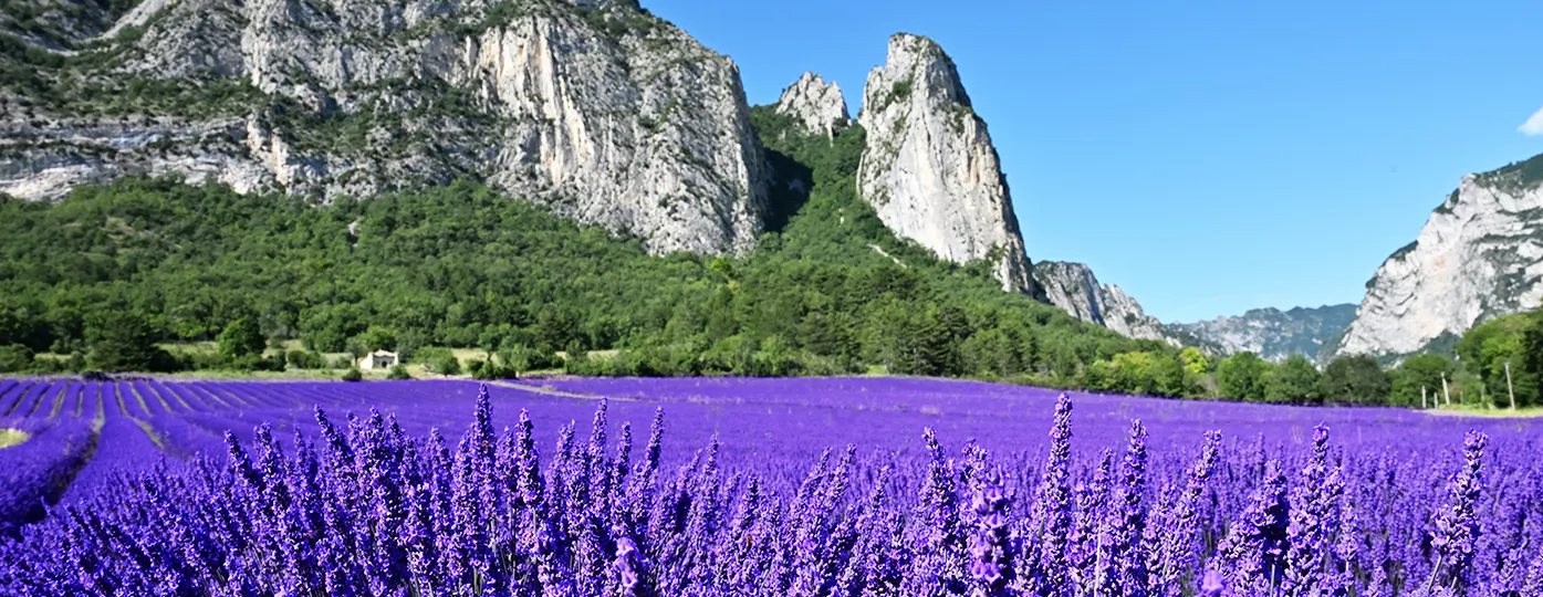 Vacances au Soleil dans La Drome pour une semaine le sam. 17 juil. 2027 à 08h00